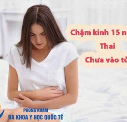 cham-kinh-15-ngay-thai-chua-vao-tu-cung-co-sao-khong