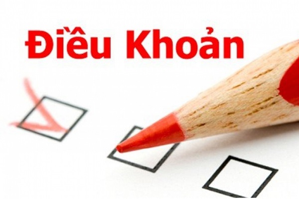 các điều khoản