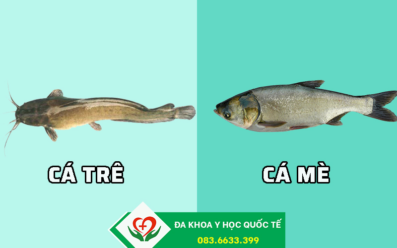 cá trê và cá mè