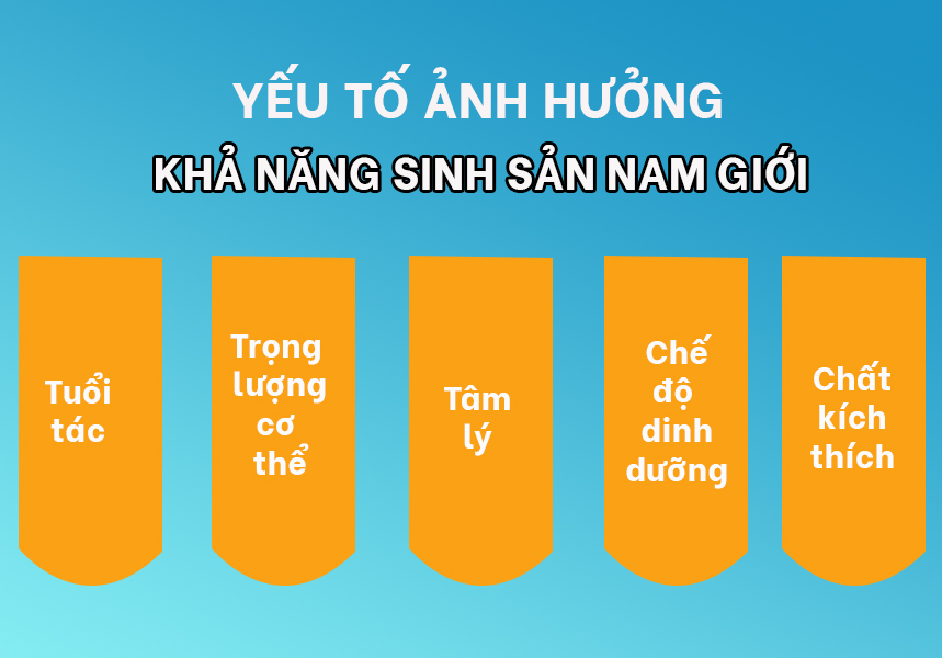 Yếu tố ảnh hưởng khả năng sinh sản ở nam giới