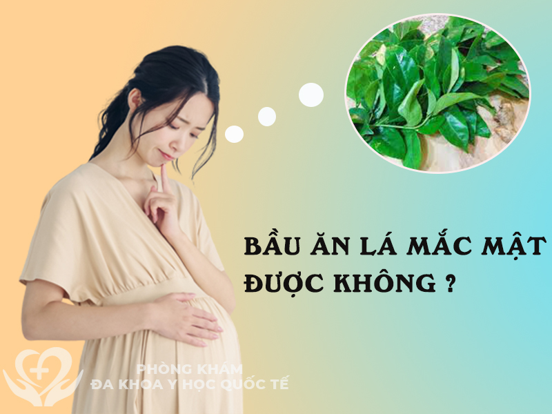 Bà bầu ăn lá mắc mật được không