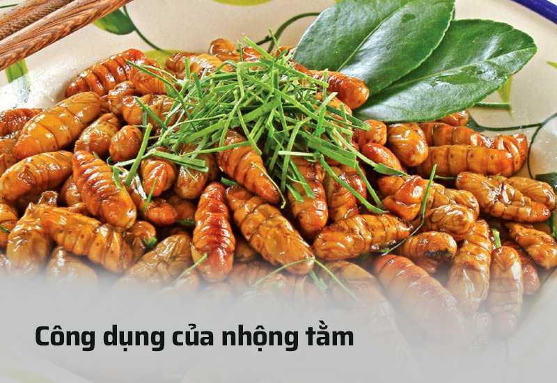 Công dụng của nhộng tằm