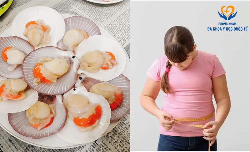 Ăn sò điệp có béo không