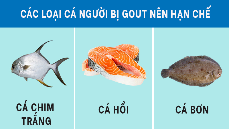 Các loại cá người bị gút nên hạn chế