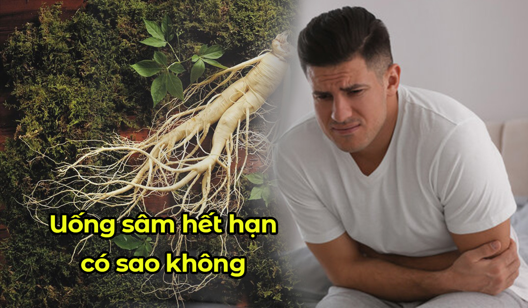 Uống sâm hết hạn có sao không ?