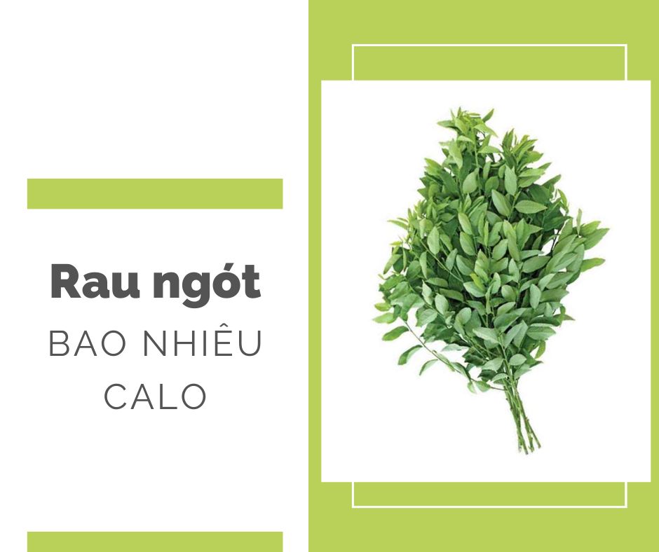 Rau ngót bao nhiêu calo