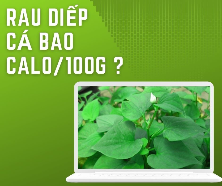 100g rau diếp cá bao nhiêu calo