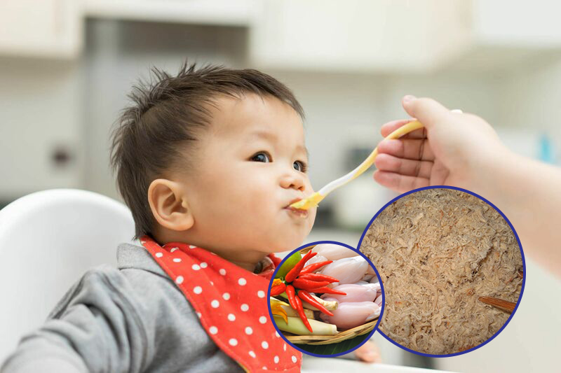 Bé mấy tháng ăn ruốc cóc được 