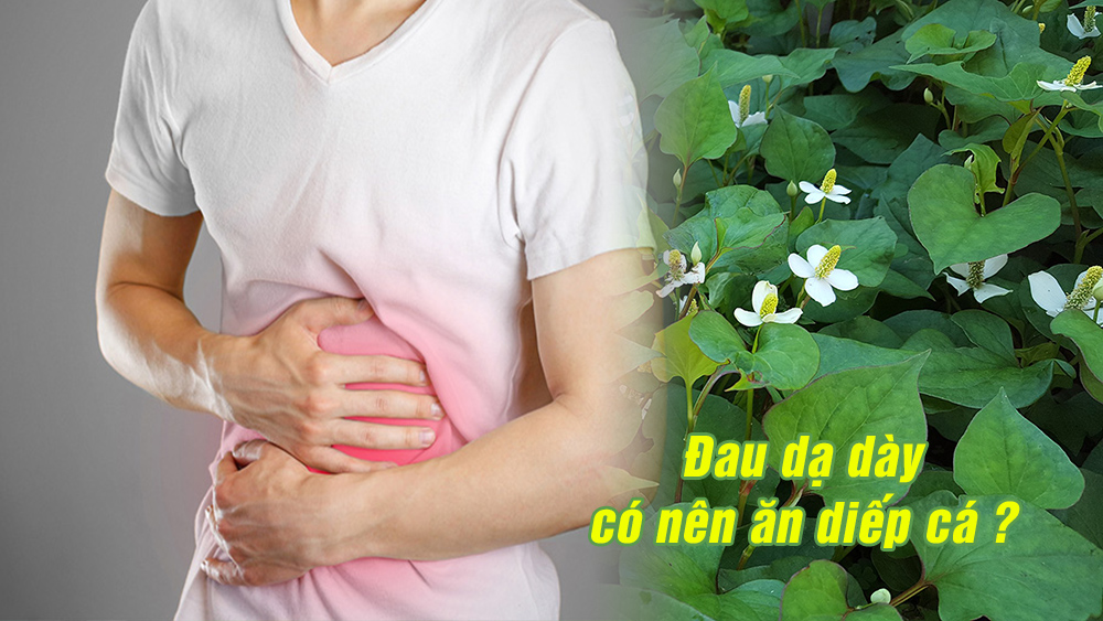 Đau dạ dày có nên ăn rau diếp cá