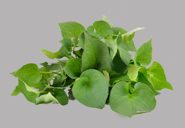 Rau diếp cá có tốt cho thận không