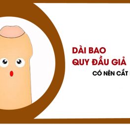 dai-bao-quy-dau-gia-co-nen-cat