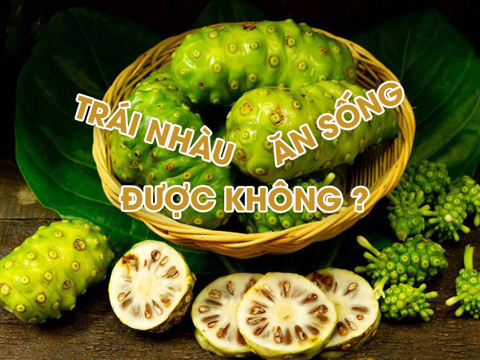 Trái nhàu ăn sống được không ?